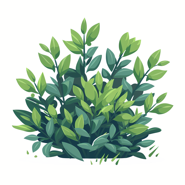 Shrub,Green Bush,Foliage