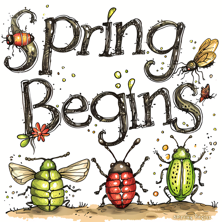 Spring Begins,Insects,Springtime