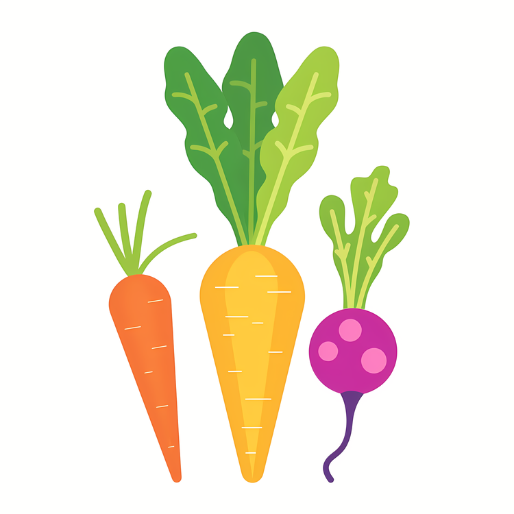 Vegetable,Root Vegetables,Radishes