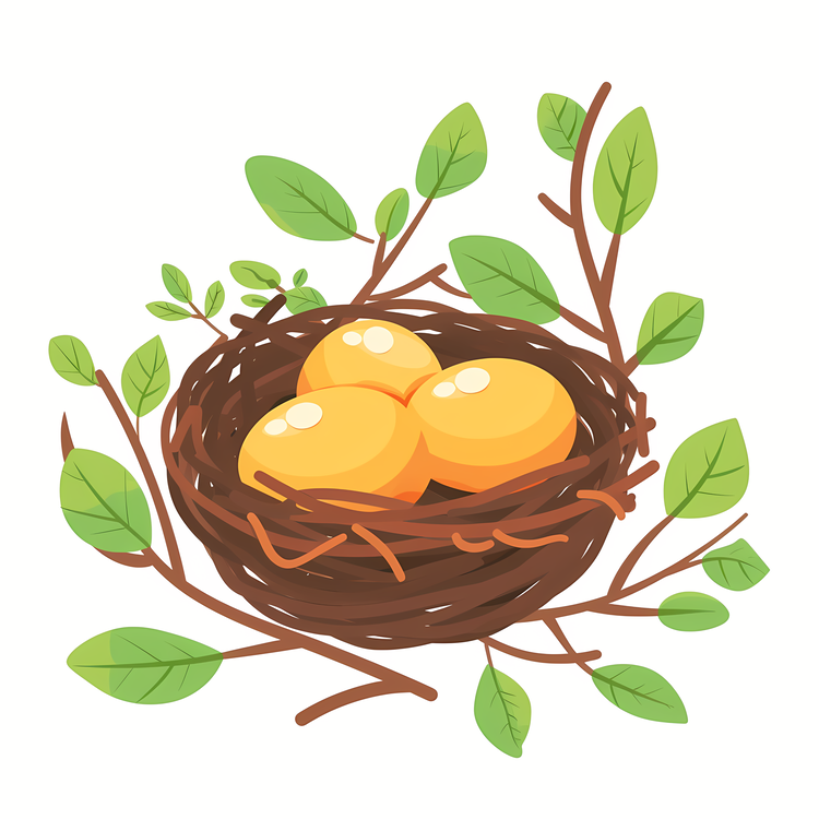 Bird Nest,Nest,Eggs