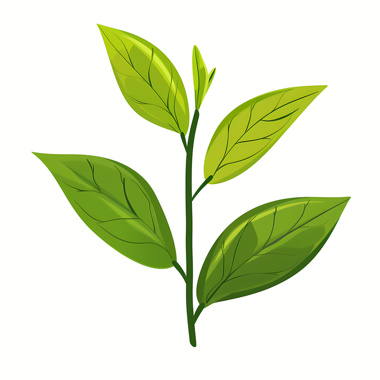 Tea Background,Green Leaves,Leafy Stem