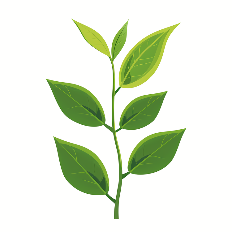 Tea Background,Leafy Plant,Greenery
