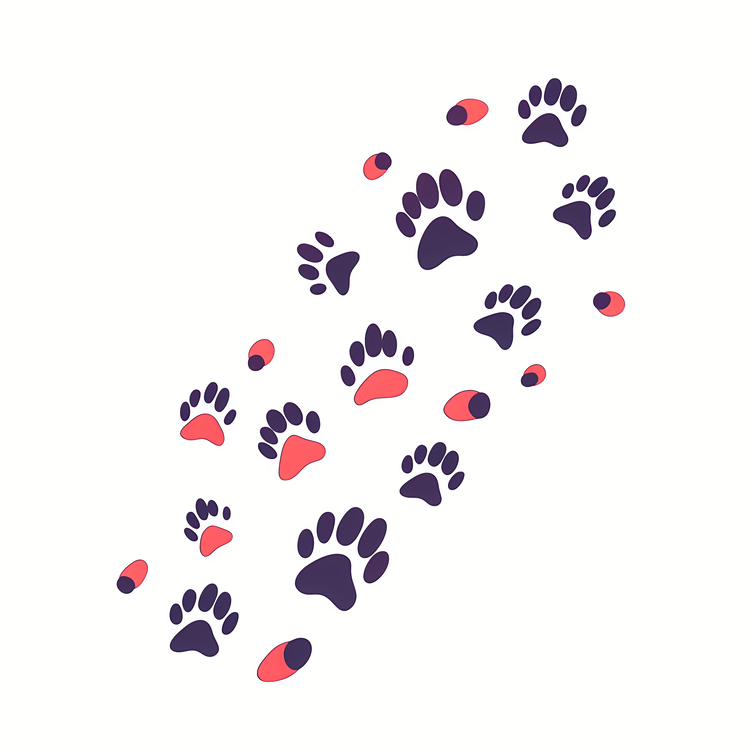 Tracks,Dog Paw Prints,Pet Footprints