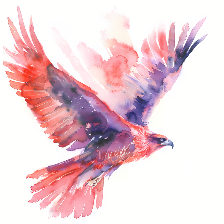 Watercolor Painting Eagle,Red Winged Falcon,Watercolor Painting