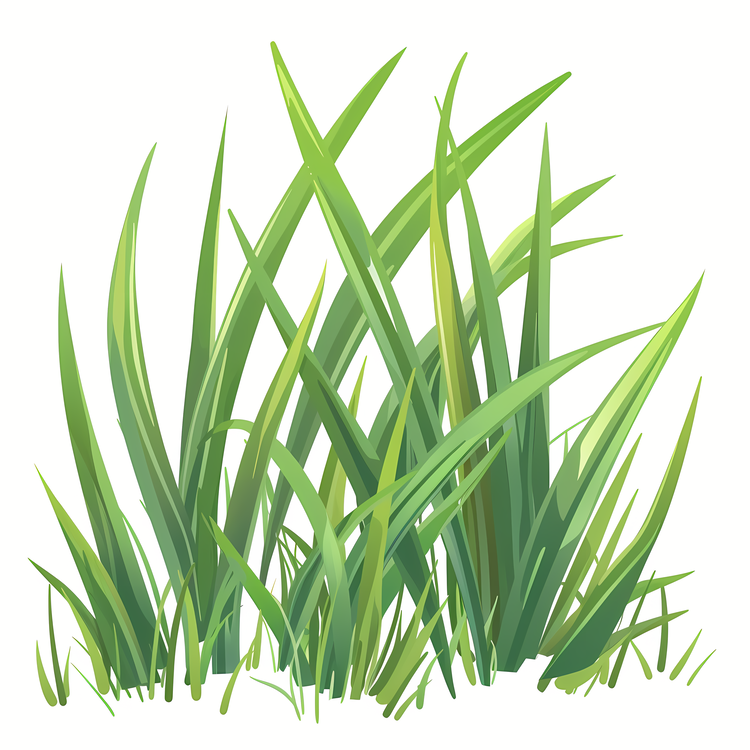 Spring Grass,Grassy,Green