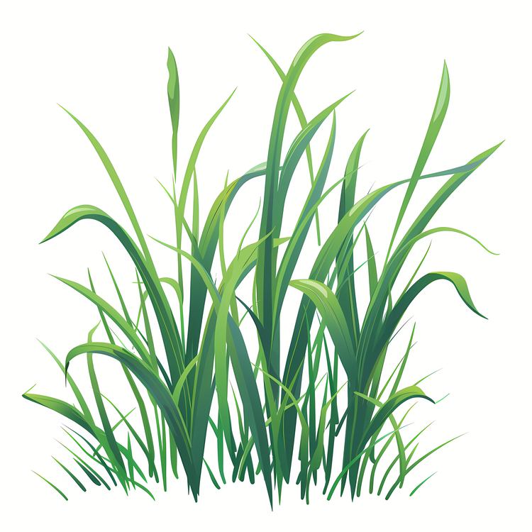 Spring Grass,Green Grass,Lawn