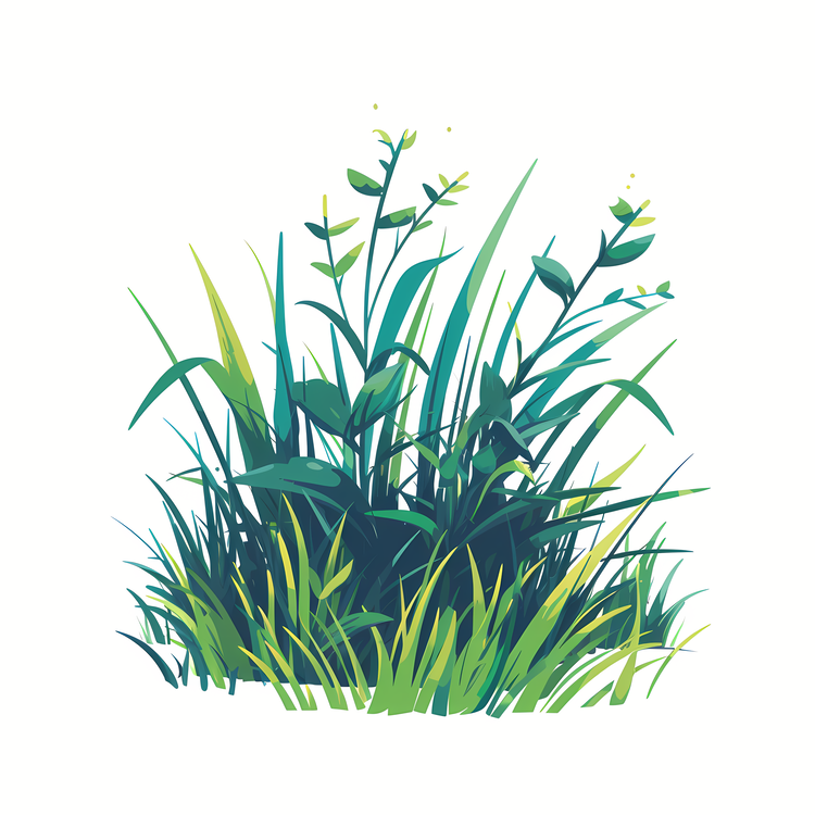 Spring Grass,Green Grass,Nature