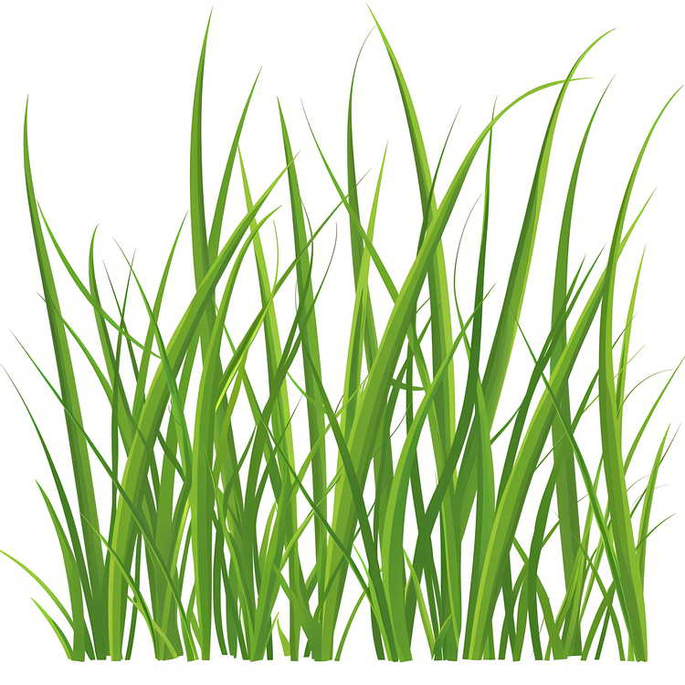 Spring Grass,Green Grass,Grassy Field