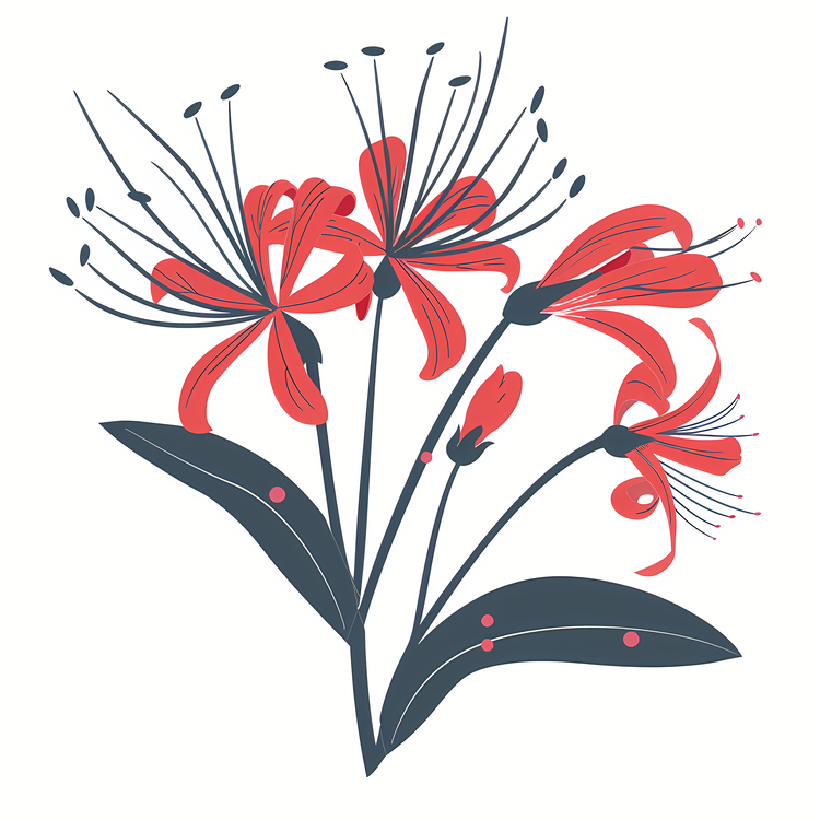 Red Spider Lily,Red Flowers,Flower Bouquet