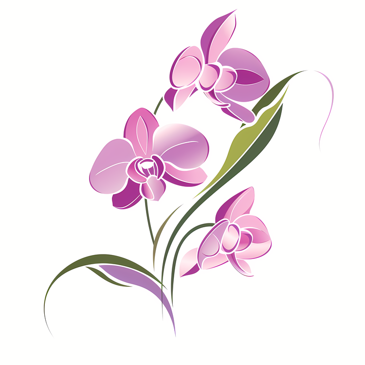 Orchid Day,Purple Orchid,Flower
