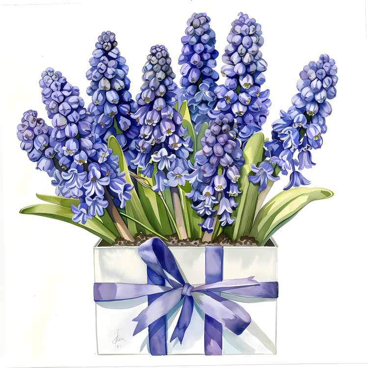 Grape Hyacinth,Purple Flowers,Vase