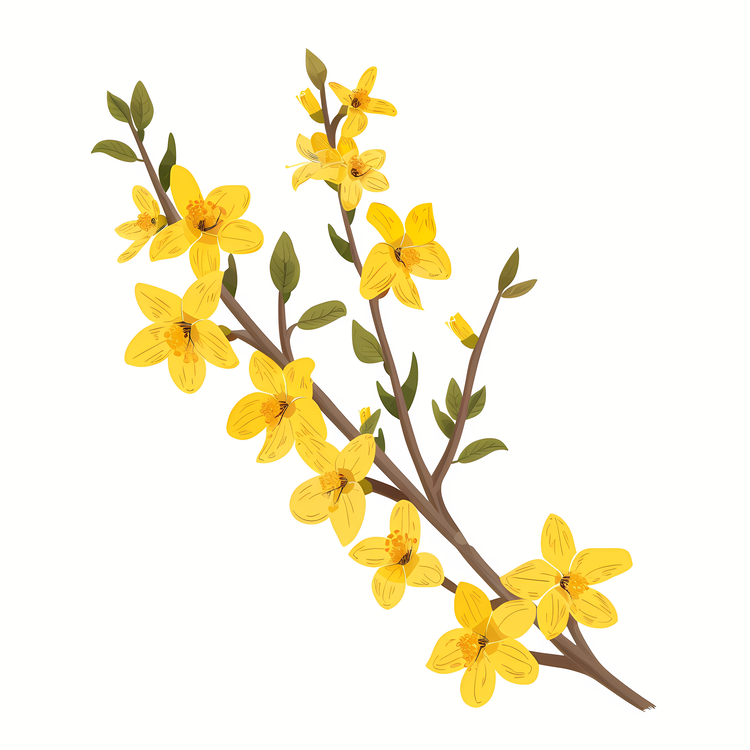 Forsythia Flower,Branch,Yellow