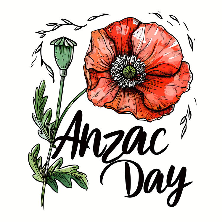 Anzac Day,Poppy,Remembrance Day