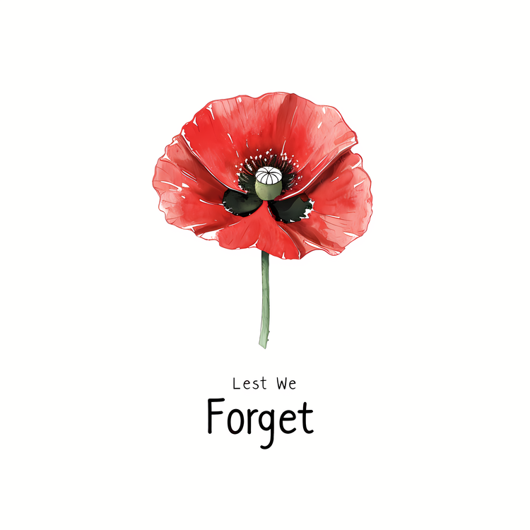 Lest We Forget,Watercolor Flower,Remembrance