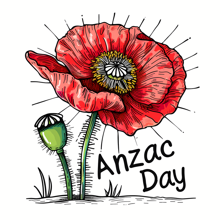 Anzac Day,Australian Flag,Red Poppy Flower