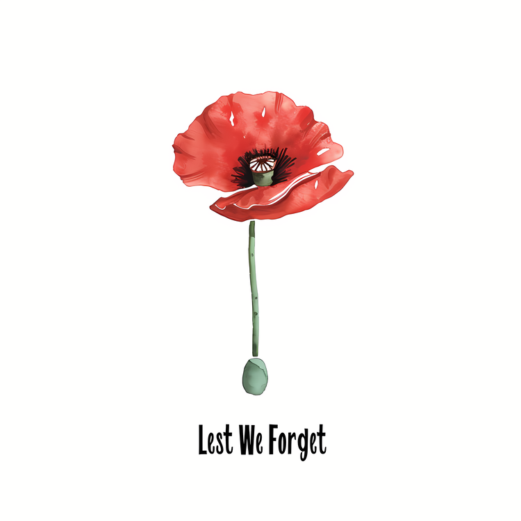 Lest We Forget,Flower,Watercolor