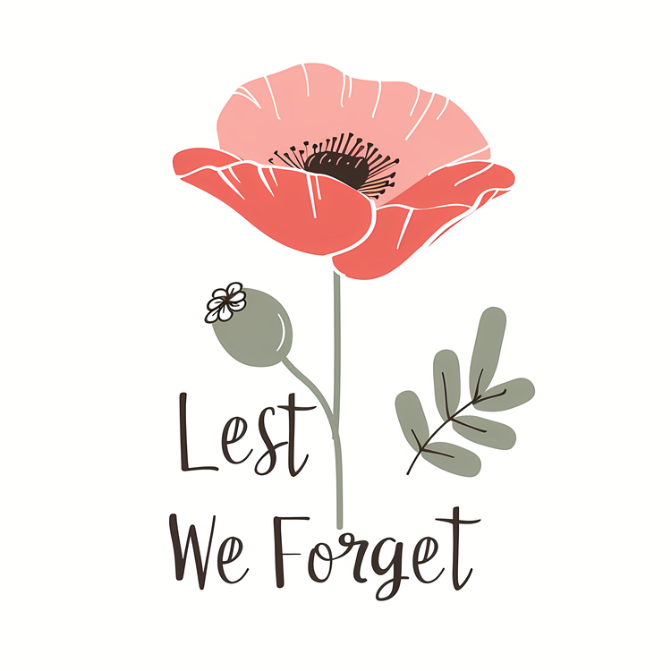 Lest We Forget,Poppy,Blooming Flower