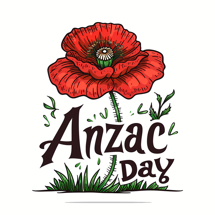 Anzac Day,Poppy Flower,Red Poppy Flower
