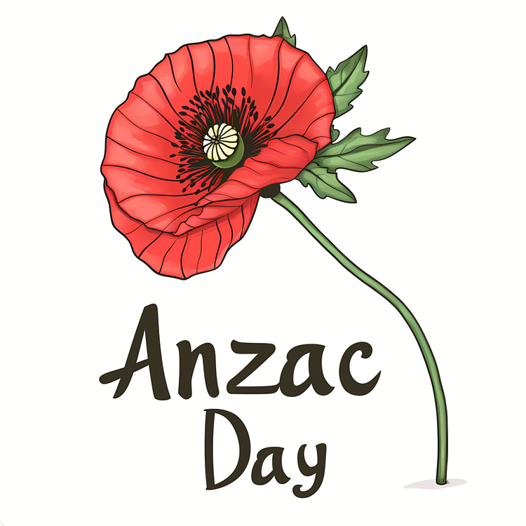 Anzac Day,Anzac,Red Poppy