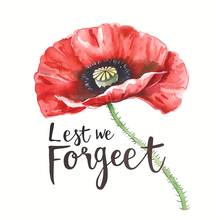 Lest We Forget,Red Poppy,Wreath