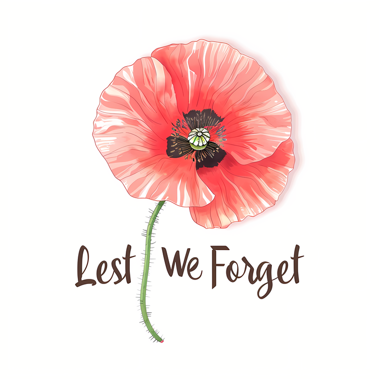 Lest We Forget,Floral,Red Poppy