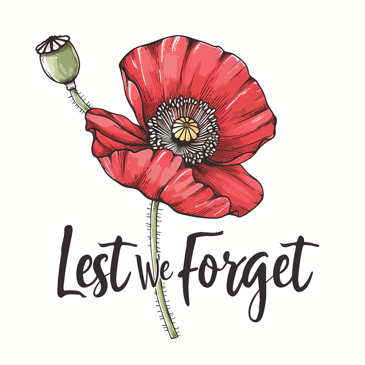 Lest We Forget,Remembrance,Poppy