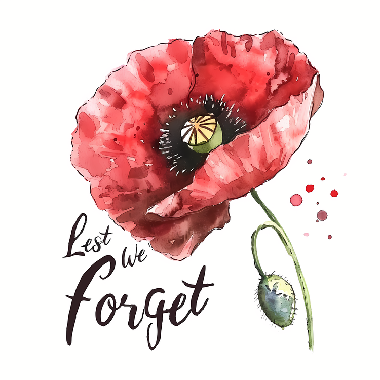 Lest We Forget,Red Poppy,Poppies