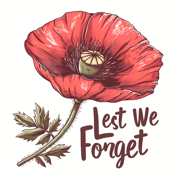 Lest We Forget,Remembrance,Flower