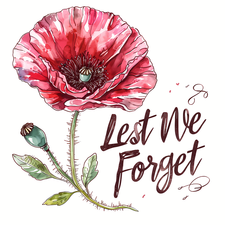 Lest We Forget,Watercolor Poppy,Red Poppy