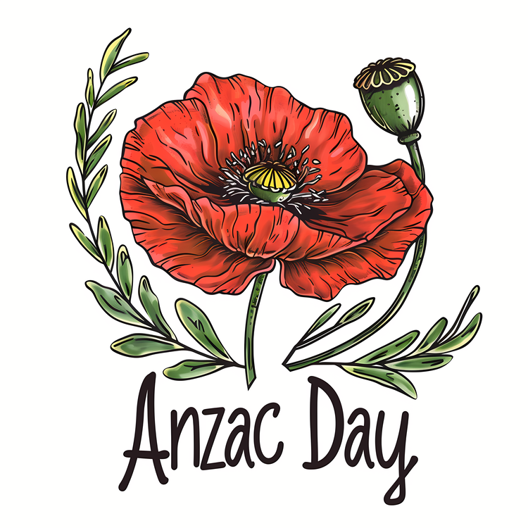Anzac Day,Remembrance Day,Poppy