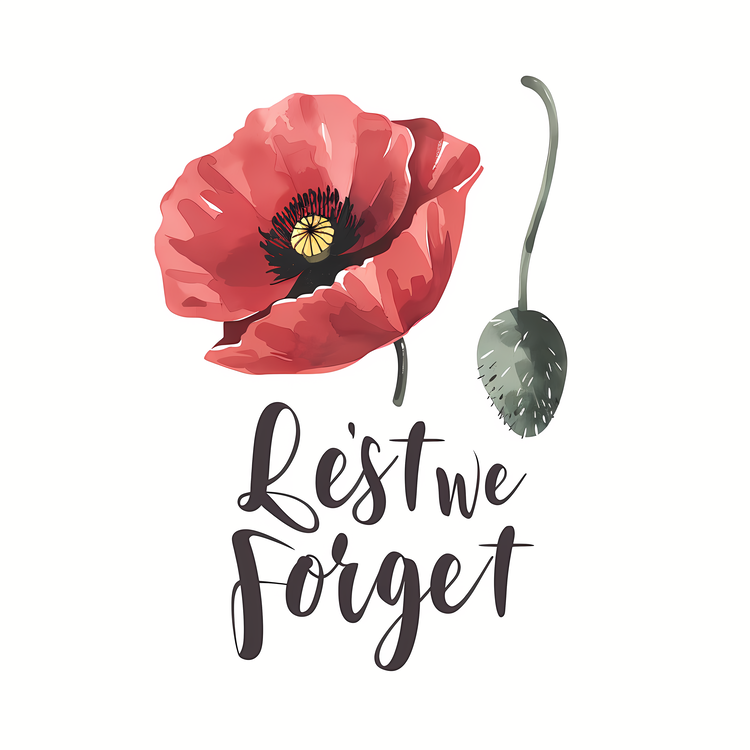 Lest We Forget,Red Poppy,Floral
