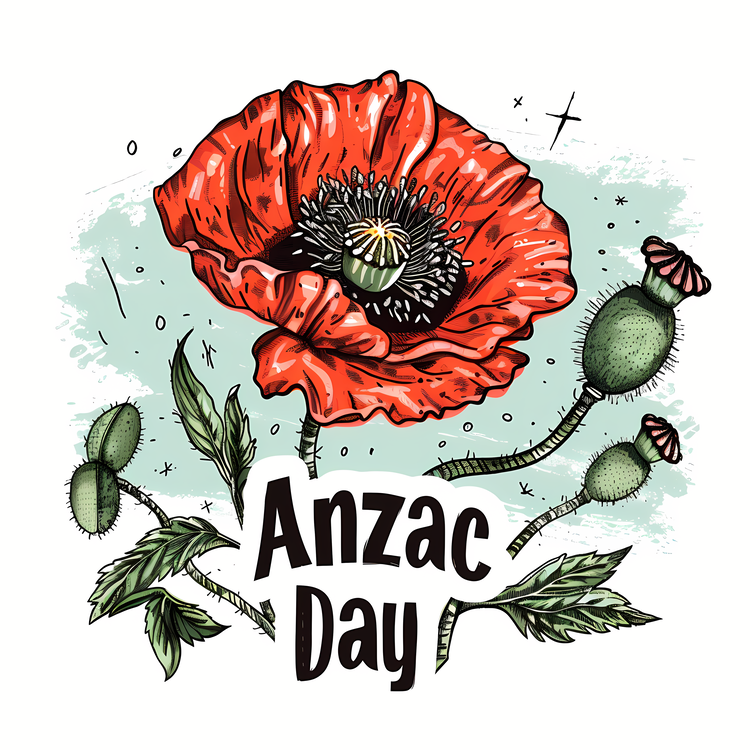 Anzac Day,Paper Poppy,Red Flower