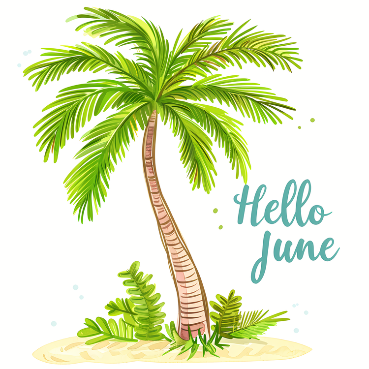 Hello June,Summer,Holiday