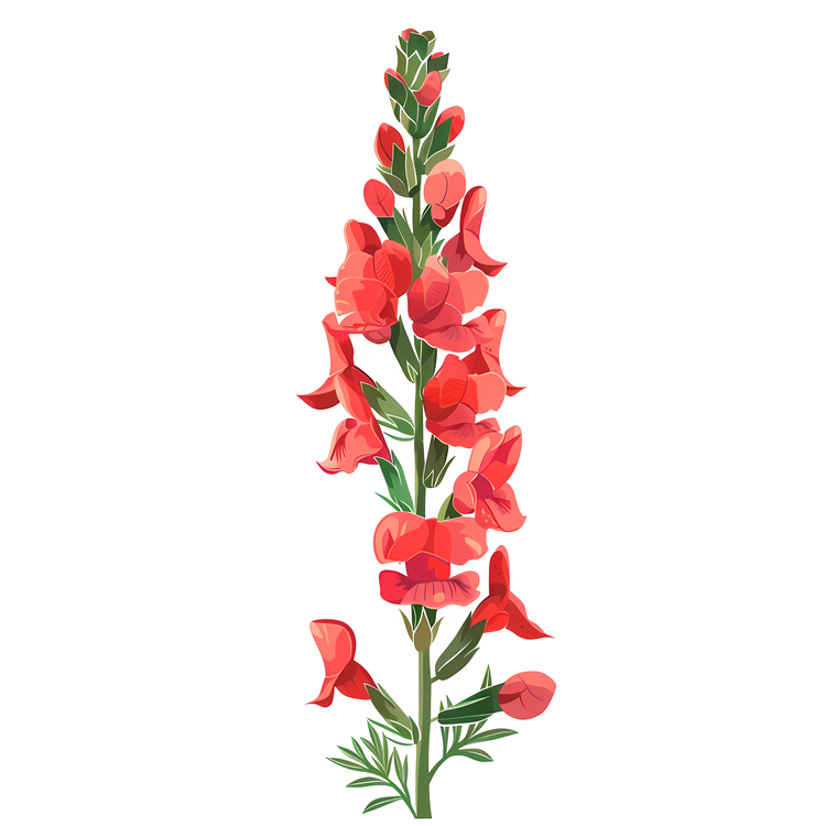 Snapdragon Flower,Red Flower,Petal