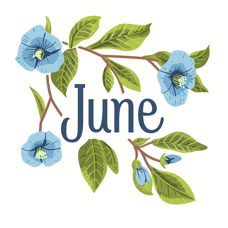 Hello June,June,Flowers