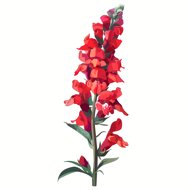 Snapdragon Flower,Pink Flower,Lily Of The Valley