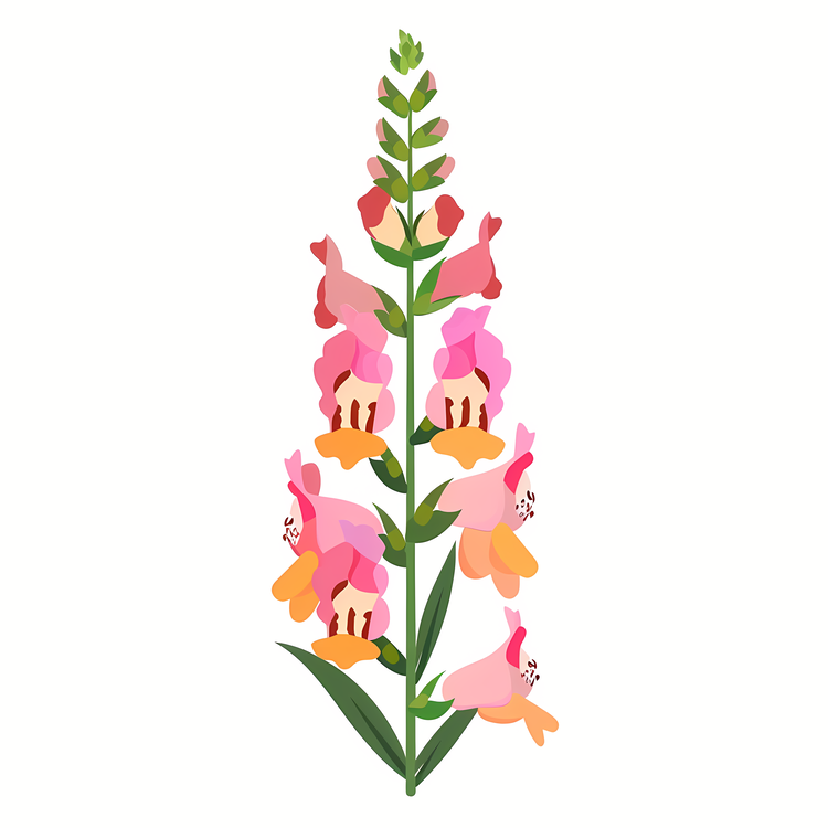 Snapdragon Flower,Pink Flowers,Stems
