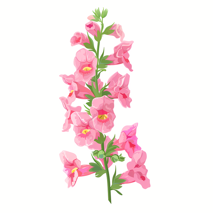 Snapdragon Flower,Pink Flowers,Lily