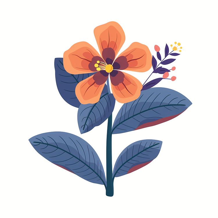 Alaska State Flower,Hibiscus,Flower