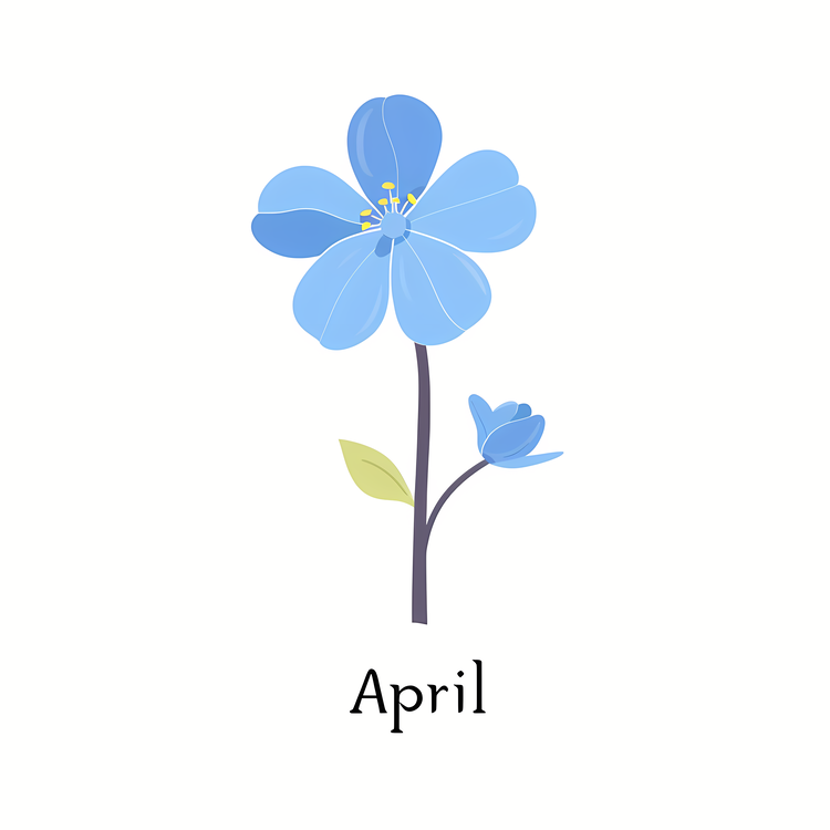 Hello April,Blue Flower,Spring