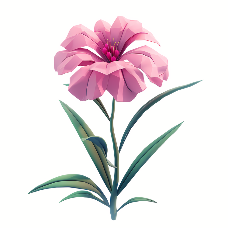 Dianthus Flower,Pink Flower,Petal
