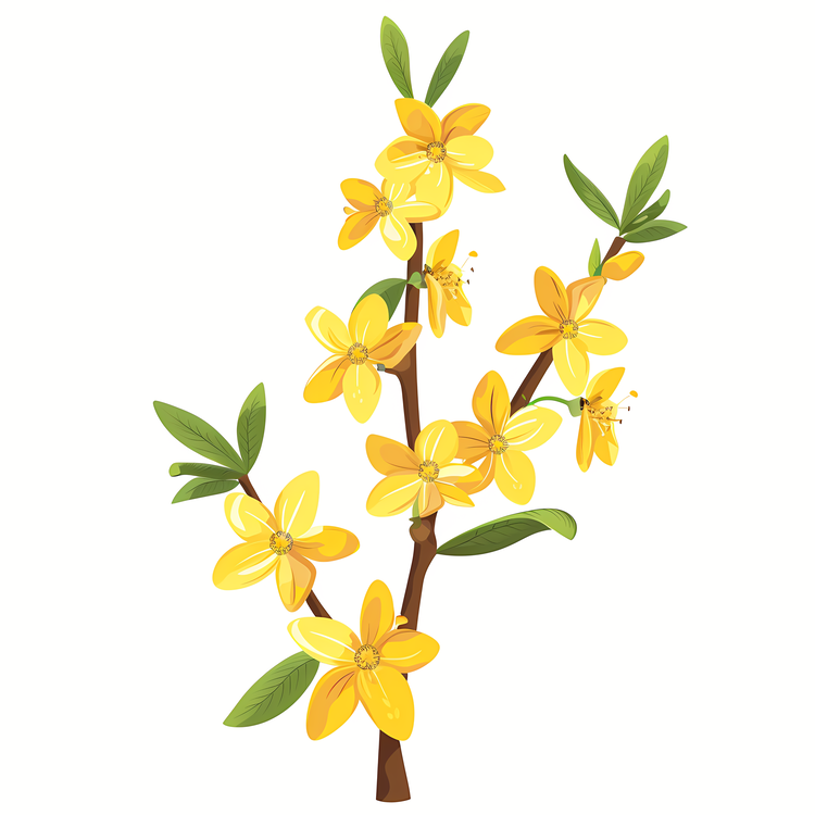 Forsythia Flower,Spring Flowers,Blossoming Tree