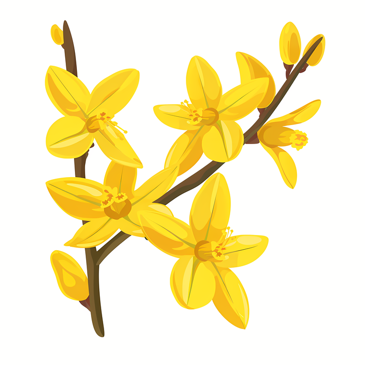 Forsythia Flower,Yellow Flowers,Flowering Tree