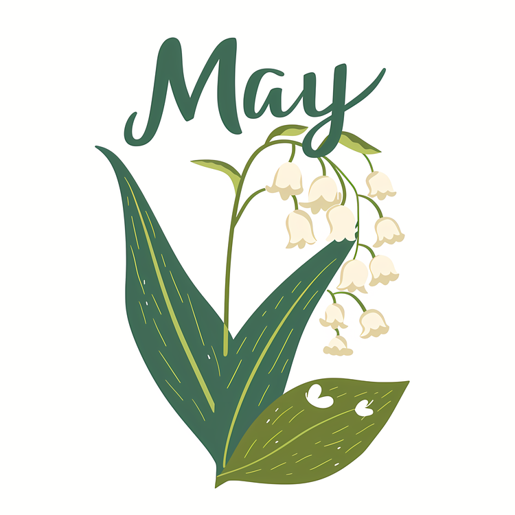 Hello May,Lily Of The Valley,Spring