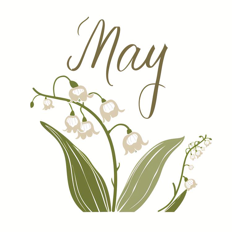 Hello May,Lily Of The Valley,White Flower