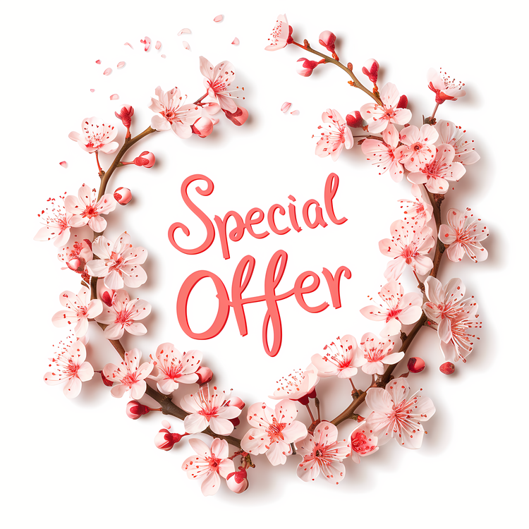 Special Offer Banner,Flower,Cherry Blossoms