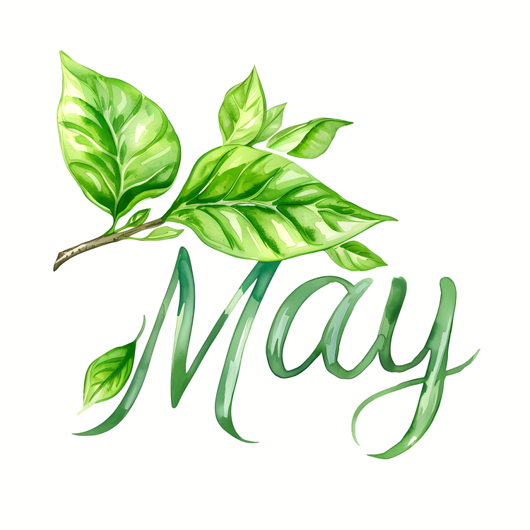 Hello May,May,Flowers