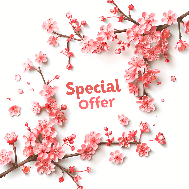Special Offer Banner,Cherry Blossom,Sakura