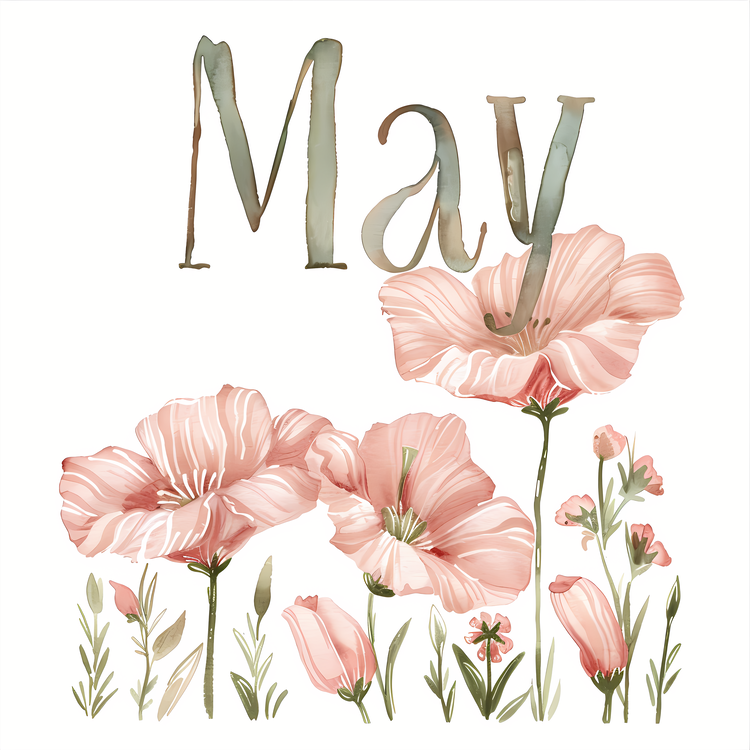 Hello May,Mayflower,Blossoms