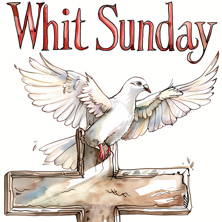 Whit Sunday,Dove,White Sunday
